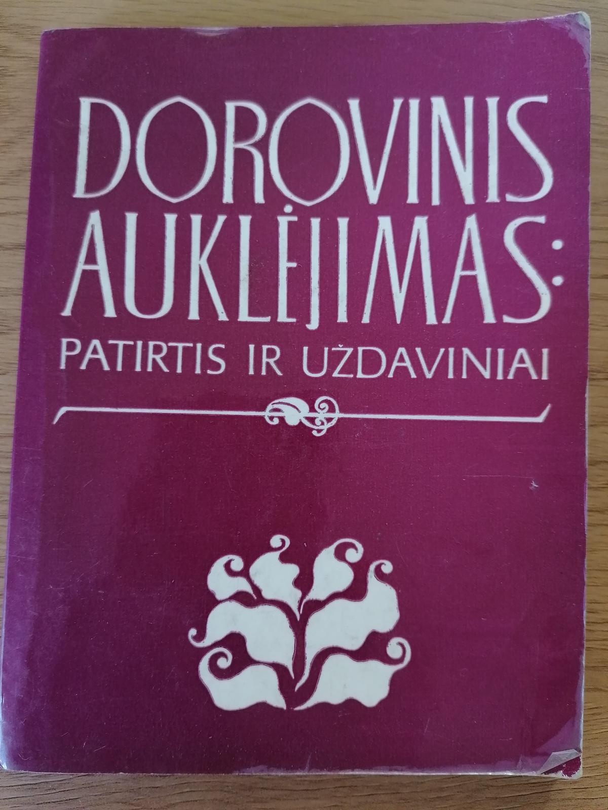 Dorovinis auklėjimas : patirtis ir uždaviniai