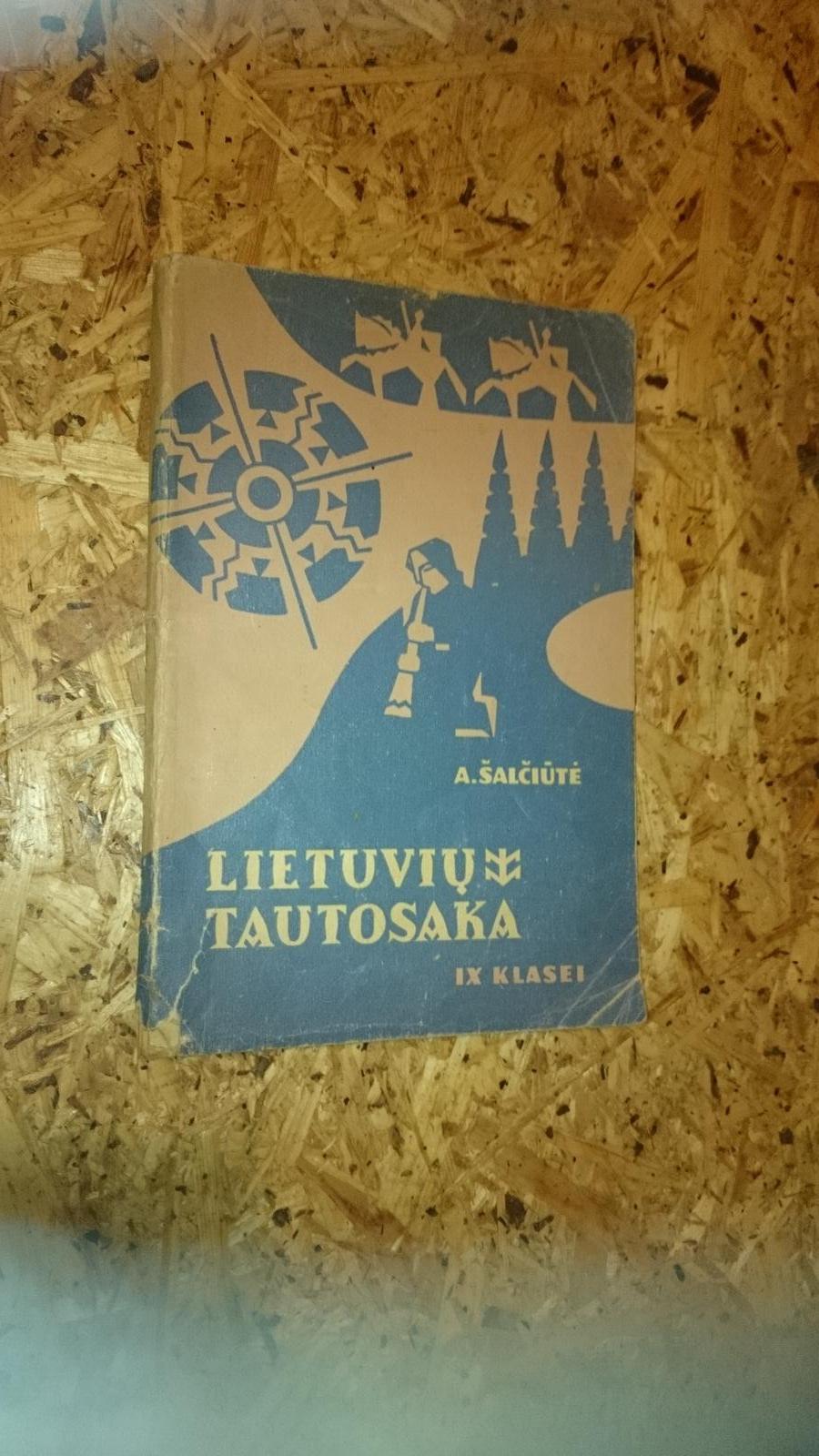 Lietuvių tautosaka IX klasei