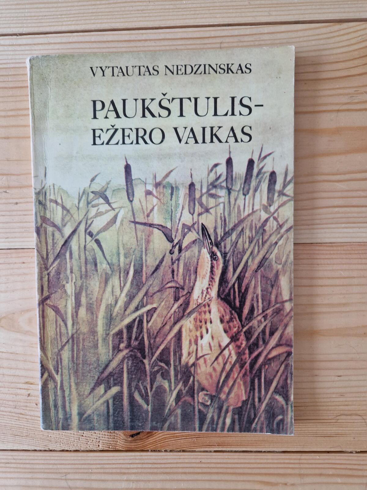 Paukštulis-ežero vaikas