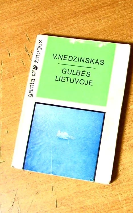 Gulbės Lietuvoje