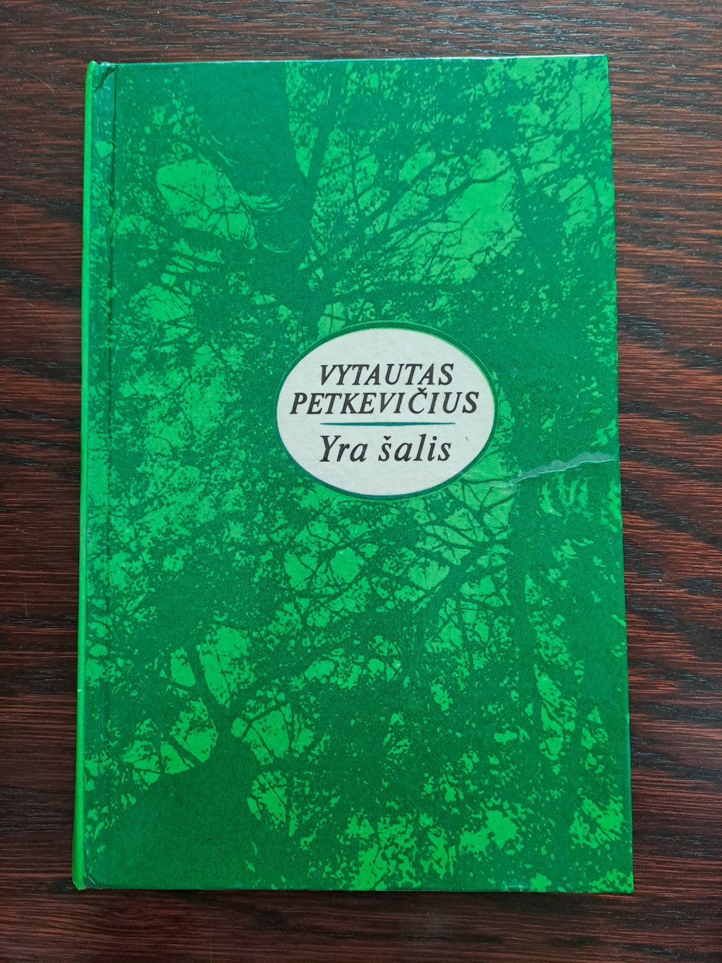 Yra šalis