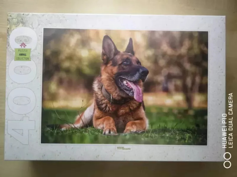 Dėlionė Puzzle 4000 "Vokiečių aviganis" / Puzzle 4000 German Shepherd