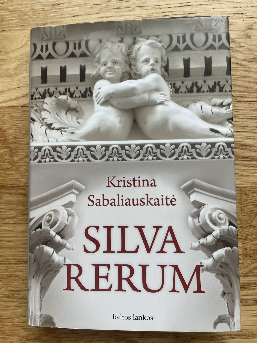 SILVA RERUM