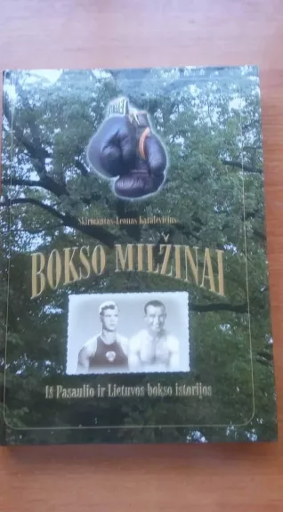 Bokso milžinai: iš pasaulio ir Lietuvos bokso istorijos