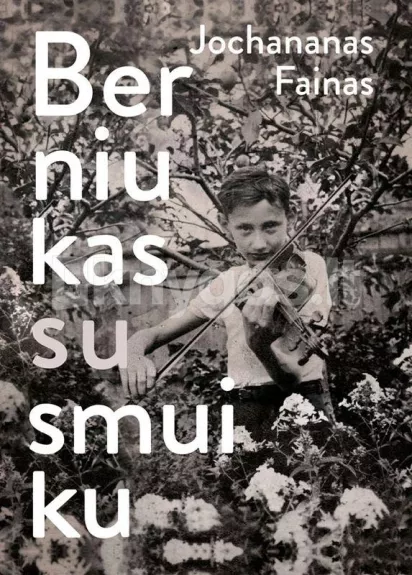 Berniukas su smuiku - Jochananas Fainas, knyga