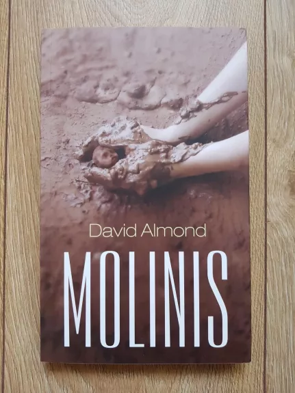 Molinis - David Almond, knyga 1