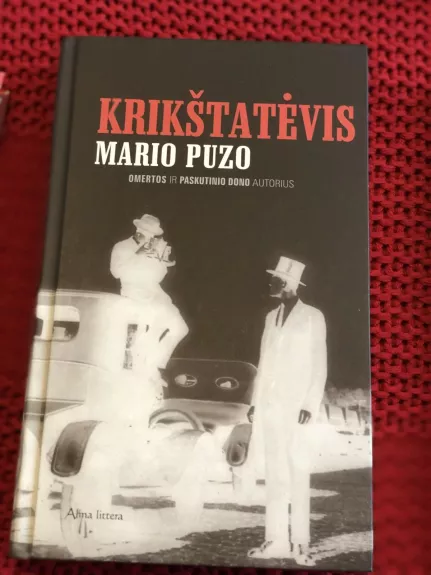 Krikštatėvis - Mario Puzo, knyga