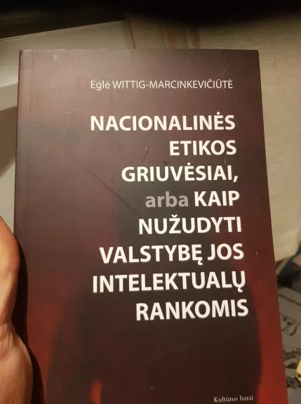 Nacionalinės etikos griuvėsiai, arba kaip nužudyti valstybę - Eglė-Wittig Marcinkevičiūtė, knyga