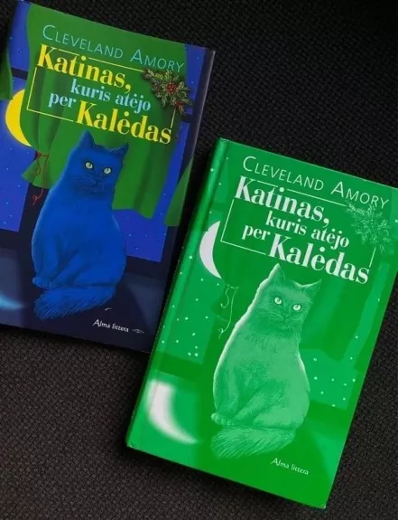 Katinas, kuris atėjo per Kalėdas