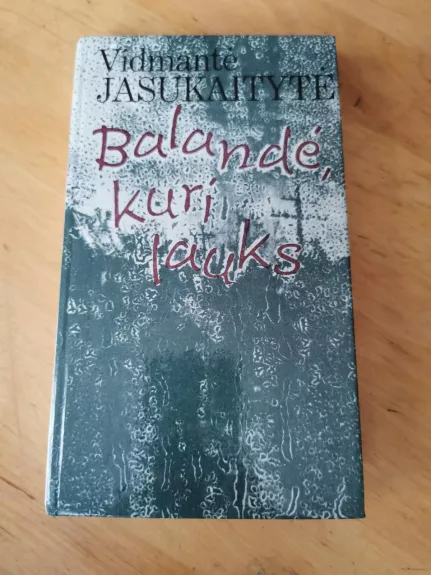 Balandė, kuri lauks - Vidmantė Jasukaitytė, knyga