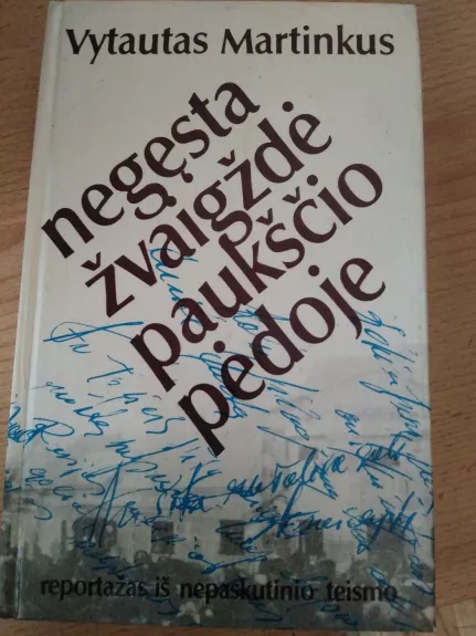 Negęsta žvaigždė paukščio pėdoje - Vytautas Martinkus, knyga