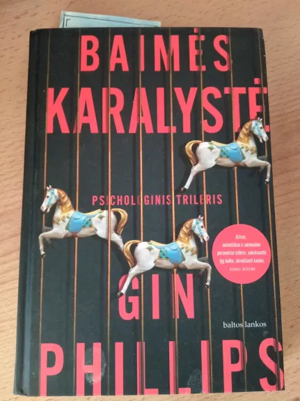 Baimės karalystė - Gin Phillips, knyga