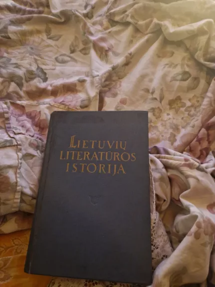 Lietuvių literatūros istorija - Autorių Kolektyvas, knyga