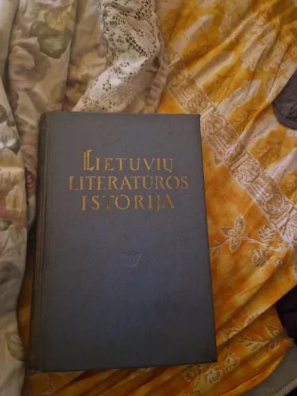 Lietuvių literatūros istorija (I tomas) - Autorių Kolektyvas, knyga