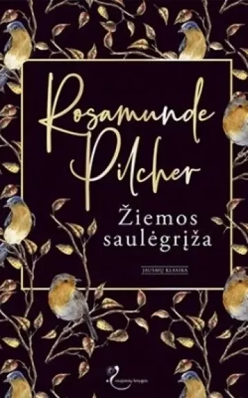 Žiemos saulėgrįža - Rosamunde Pilcher, knyga