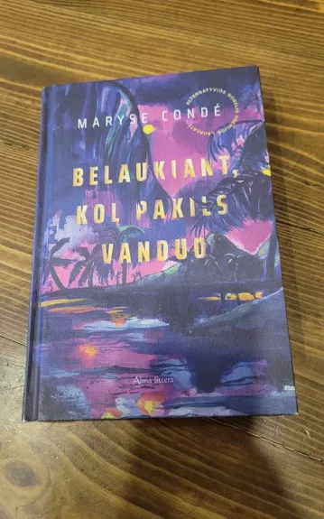 Belaukiant kol pakils vanduo - Maryse Conde, knyga