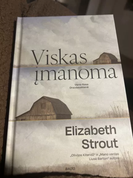 viskas įmanoma - Elizabeth Strout, knyga