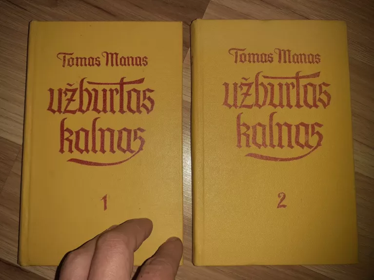 Užburtas kalnas - Thomas Mann, knyga