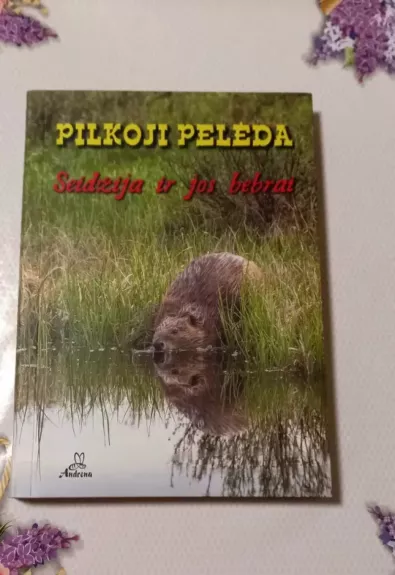 Seidžija ir jos bebrai - Pilkoji Pelėda , knyga