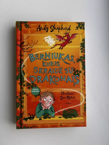 Berniukas, kuris skraidė su drakonais - Andy Shepherd, knyga