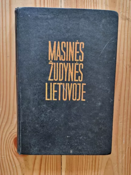 Masinės žudynės Lietuvoje 1941-1944 (2 dalys) - G. Erslavaitė, knyga