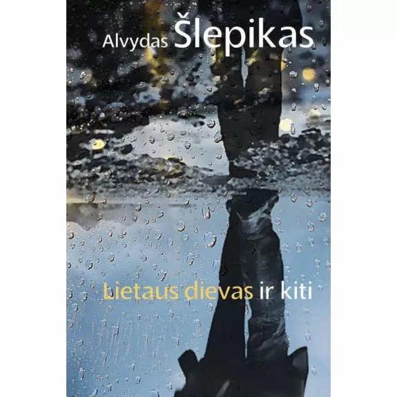 Lietaus dievas ir kiti - A.Šlepikas, knyga