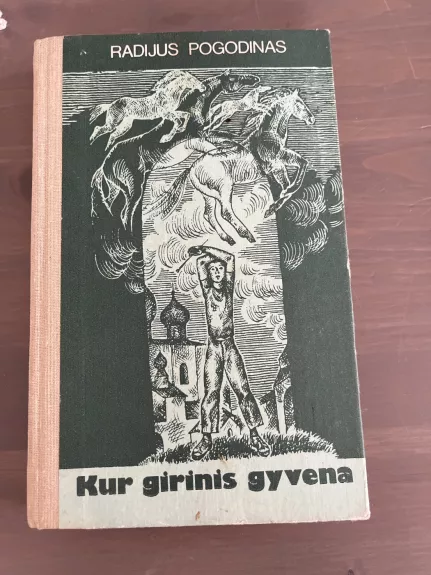 Kur girinis gyvena - Radijus Pogodinas, knyga