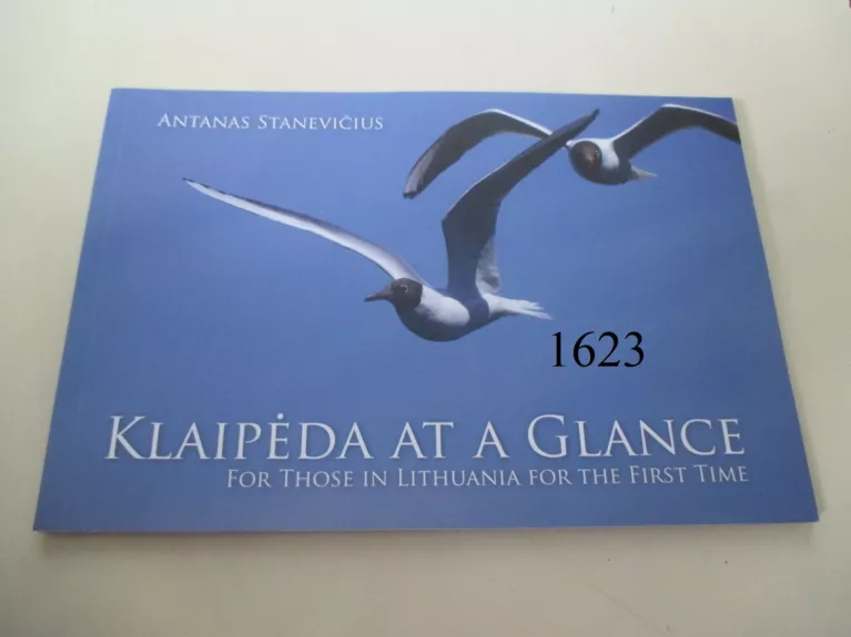 Klaipeda at a glance