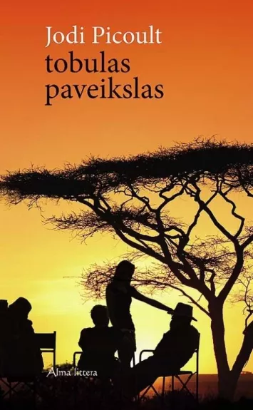 Tobulas paveikslas