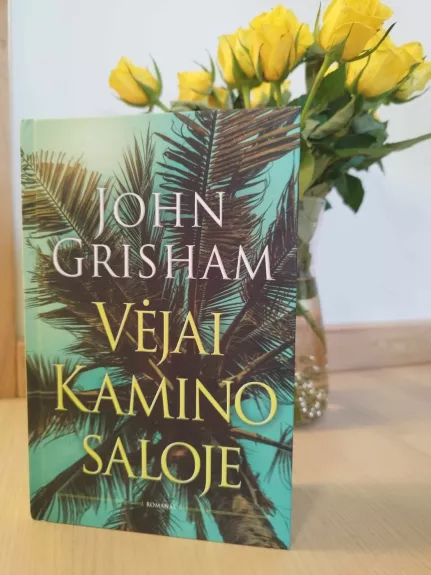 Vėjai Kamino saloje - John Grisham, knyga 1