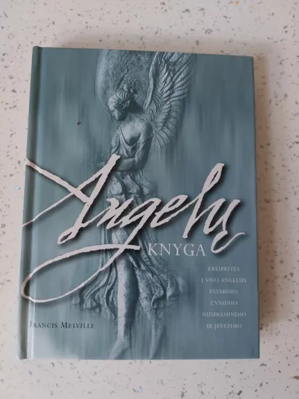 Angelų knyga - Francis Melville, knyga