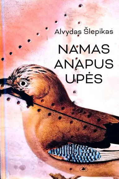 Namas anapus upės. Įvairių laikų istorijos. Apsakymai - Alvydas Šlepikas, knyga