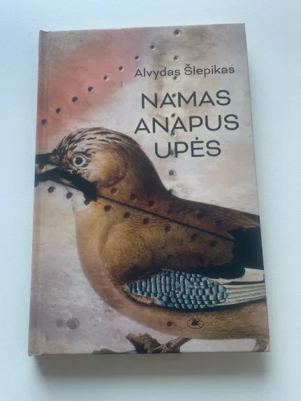 Namas anapus upės. Įvairių laikų istorijos. Apsakymai