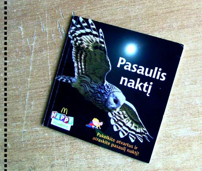 Pasaulis naktį