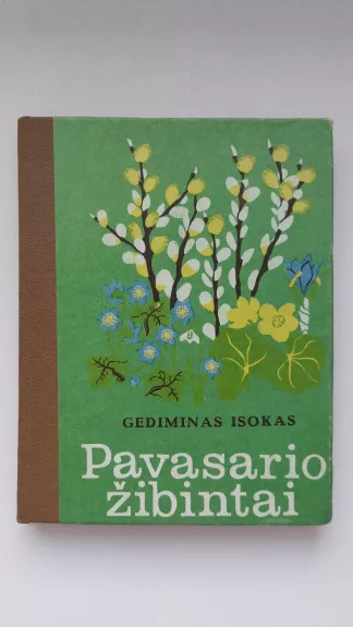 Pavasario žibintai - Gediminas Isokas, knyga