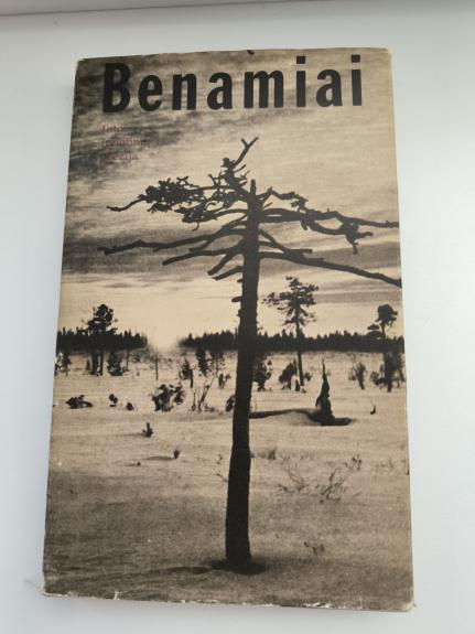 Benamiai