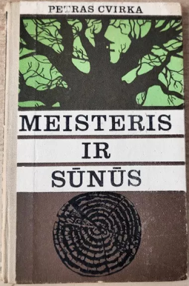 Meisteris ir sūnūs