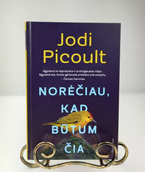 Norėčiau, kad būtum čia - Jodi Picoult, knyga 1