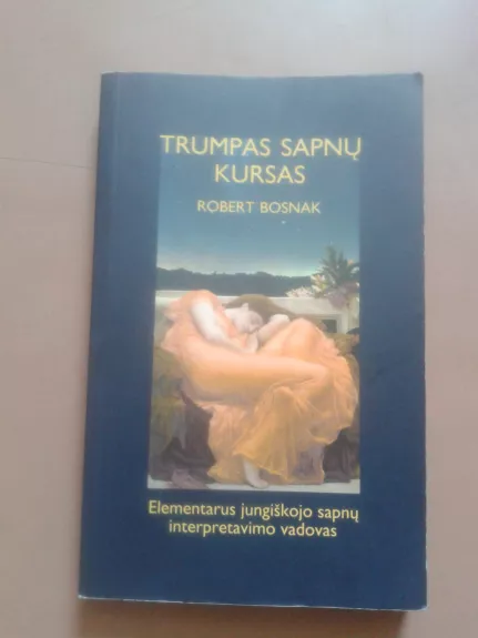 Trumpas sapnų kursas : elementarus jungiškojo sapnų interpretavimo vadovas - Robert Bosnak, knyga 1