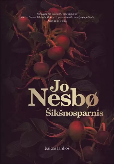 Šikšnosparnis - Jo Nesbo, knyga