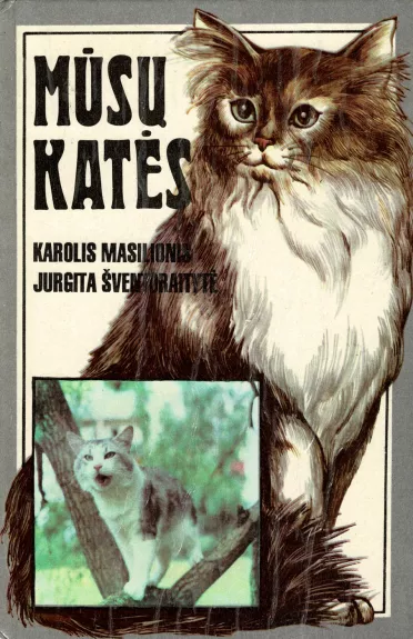 Mūsų katės