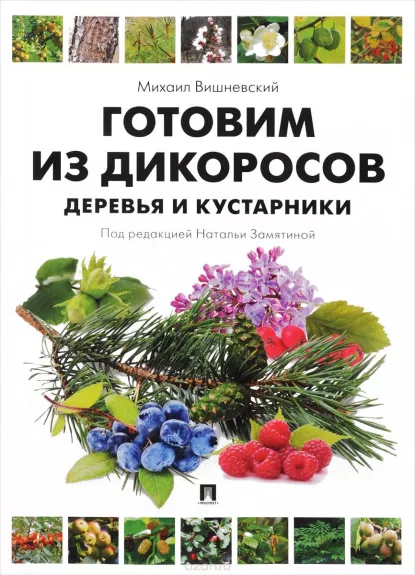 Gotovim iz dikorosov. Derevʹja i kustarniki - Mihail Višnevskij, knyga