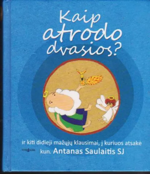 Kaip atrodo dvasios? - Antanas Saulaitis, knyga