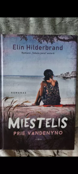 Miestelis prie vandenyno - Elin Hilderbrand, knyga