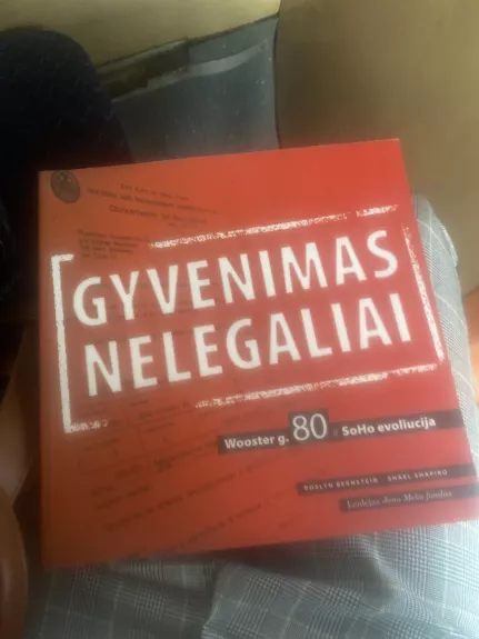 Gyvenimas nelegaliai - R. Bernstein S. Shapiro, knyga