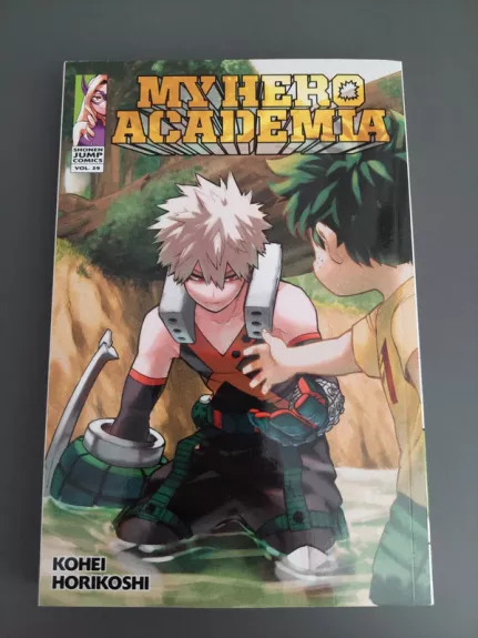 My Hero Academia, Vol. 29