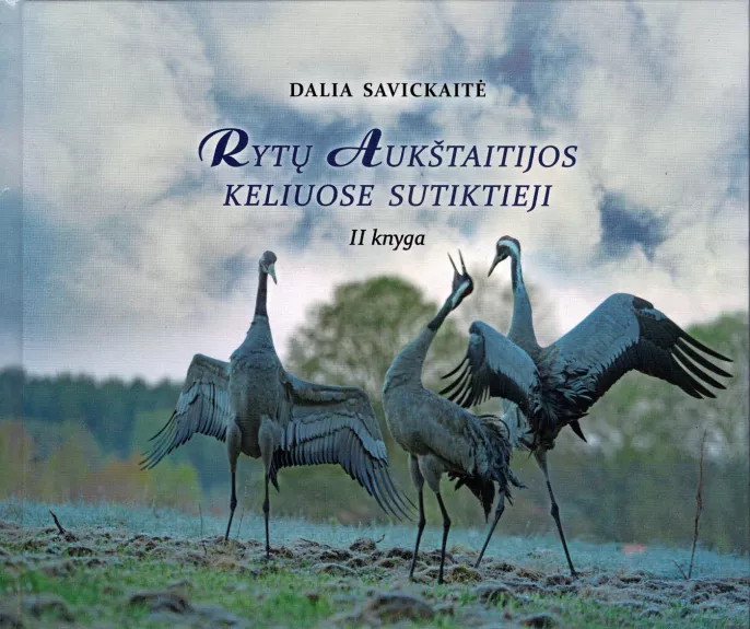 Rytų Aukštaitijos keliuose sutiktieji. II knyga - Dalia Savickaitė, knyga