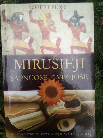 Mirusieji sapnuose ir vizijose - Robert Moss, knyga