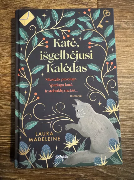 Katė išgelbėjusi Kalėdas - Laura Madeleine, knyga