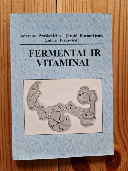 Fermentai ir vitaminai - Autorių Kolektyvas, knyga